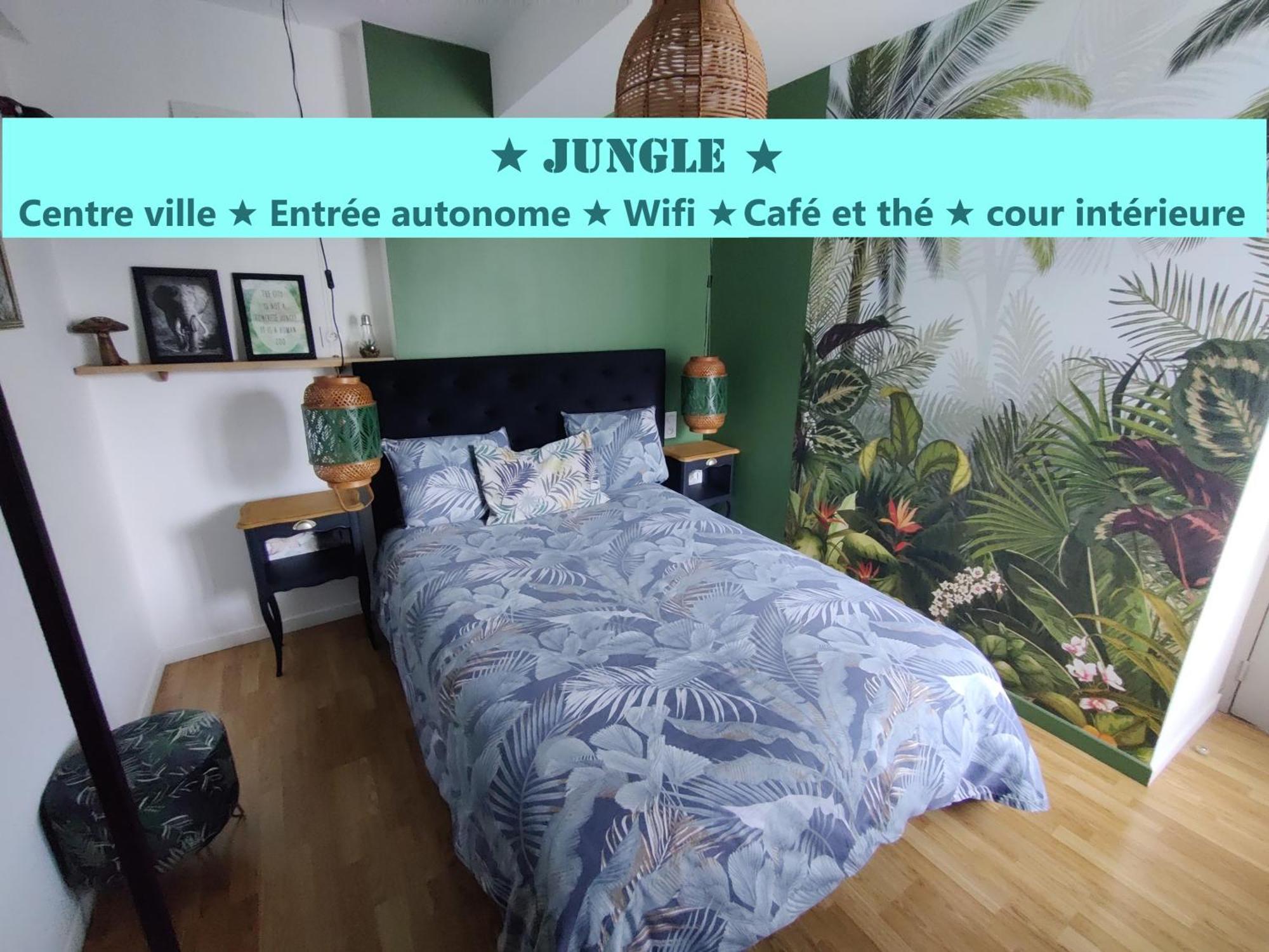 Appartement T2 "Jungle" Centre Ville De Vitre Au Calme Cote Cour Exterior photo